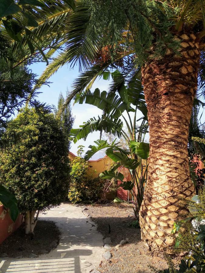 Vivienda Vacacional Finca Jorsam Con Piscina Tazacorte Exterior photo